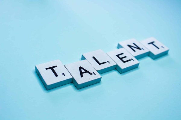 Quels sont les principes de base pour une stratégie de gestion des talents dans une entreprise en croissance rapide?